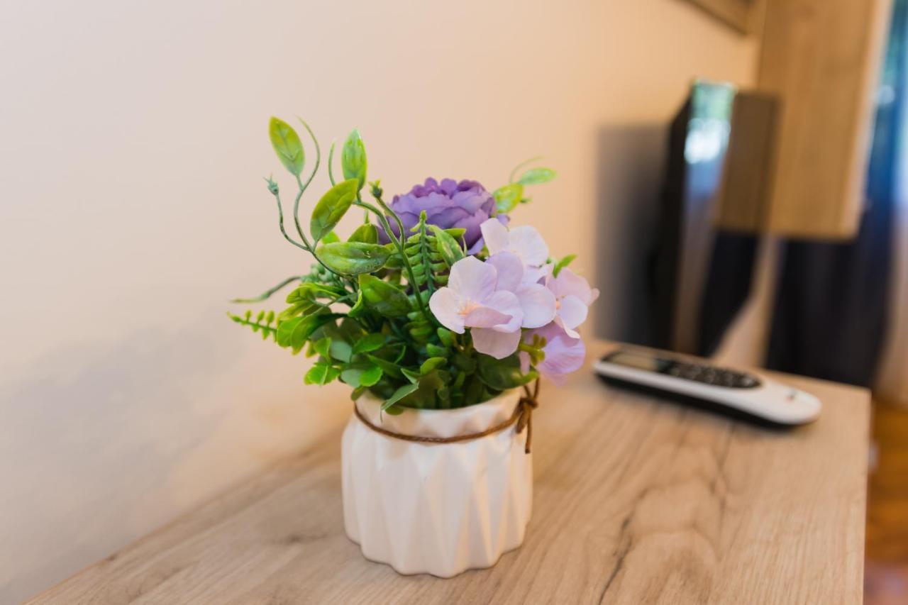 Apartman Studio Blue Subotica Zewnętrze zdjęcie